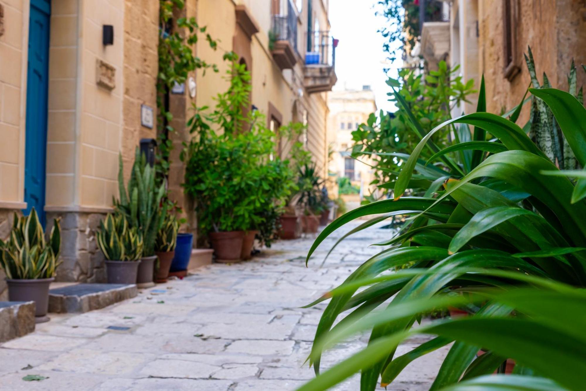 Great Siege Apartment Senglea Exterior photo